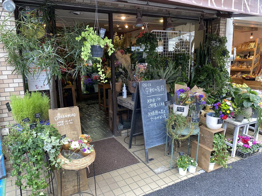 切り花を長持ちさせる銀イオン水 - アキショップ